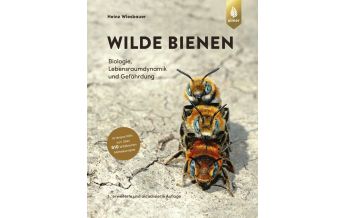 Nature and Wildlife Guides Wilde Bienen Ulmer Verlag