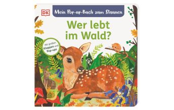 Mein Pop-up-Buch zum Staunen. Wer lebt im Wald? Dorling Kindersley
