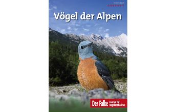 Naturführer Vögel der Alpen Aula Verlag
