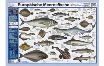 Tauchen / Schnorcheln Europäische Meeresfische Planet Poster Editions