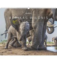 Kalender Hautnah - Afrikas Wildnis 2026 - Bild-Kalender - Poster-Kalender - 60x50 Neumann druck 