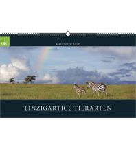 Kalender GEO - Einzigartige Tierarten 2026 – Wandkalender 58x36 cm, Poster-Kalender mit 12 Monatsblättern, deutschem Kalendarium & Spiralbindung, Tier-Fotografie-Kalender bedrohter Arten Neumann druck 