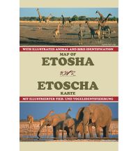 Road Maps Honeyguide Karte - Etoscha Nationalpark Namibia Honeyguide