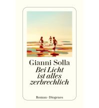 Reiselektüre Bei Licht ist alles zerbrechlich Diogenes Verlag