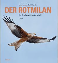 Naturführer Der Rotmilan Verlag Paul Haupt AG