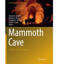 Geologie und Mineralogie Mammoth Cave Springer