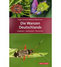 Nature and Wildlife Guides Die Wanzen Deutschlands Quelle & Meyer Verlag