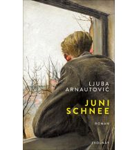 Junischnee Paul Zsolnay Verlag GmbH