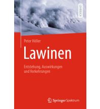 Wintersport Lawinen Springer