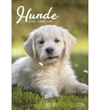 Kalender Hunde 2026 Korsch Verlag