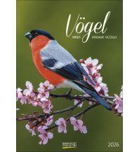 Kalender Vögel 2026 Korsch Verlag