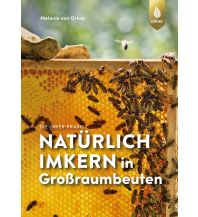 Natürlich imkern in Großraumbeuten Ulmer Verlag