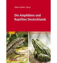 Naturführer Die Amphibien und Reptilien Deutschlands Spektrum Akademischer Verlag