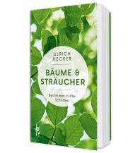 Naturführer Bäume und Sträucher BLV Verlagsgesellschaft mbH