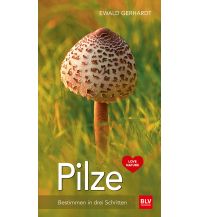 Nature and Wildlife Guides Pilze BLV Verlagsgesellschaft mbH