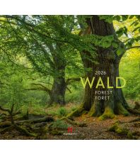 Kalender Wald Kalender 2026 F.A. Ackermann Kunstverlag