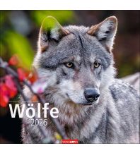 Kalender Wölfe Kalender 2026 Kunstverlag Weingarten GmbH