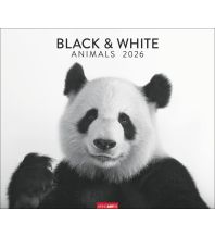 Kalender Black & White Animals 2026 Athesia Kalenderverlag
