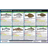 Training and Performance Info-Tafel-Set Meeresfische Dreipunkt Verlag
