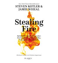Stealing Fire Plassen