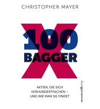 100 Bagger Plassen