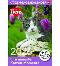 Kalender Katzen Tageskalender 2026 herz
