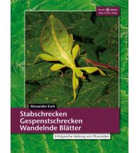 Naturführer Stabschrecken, Gespenstschrecken, Wandelnde Blätter Natur und Tier