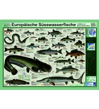 Tauchen / Schnorcheln Europäische Süsswasserfische Planet Poster Editions