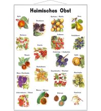 Heimisches Obst Stiefel GmbH