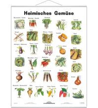 Heimisches Gemüse Stiefel GmbH