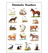 Heimische Haustiere Stiefel GmbH