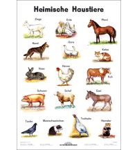 Heimische Haustiere Stiefel GmbH