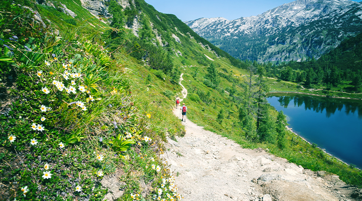 Entlang der Tauplitzer Seenrunde © serkat Photography_Adobe Stock