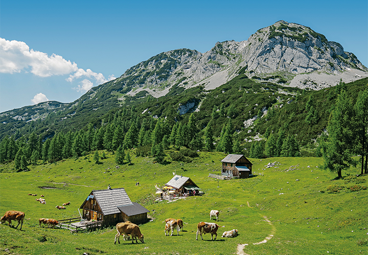 Erste steirische Hütte am Salzsteigweg - die Leistalm © Martin Marktl