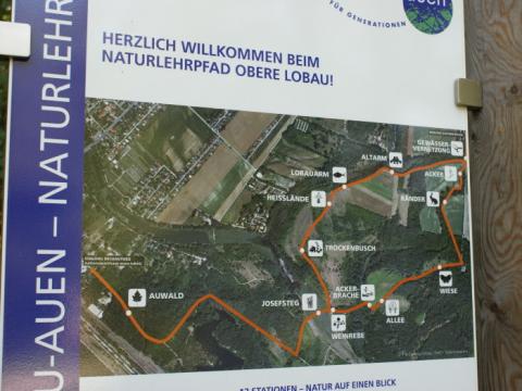 Naturlehrpfad Obere Lobau im Überblick
