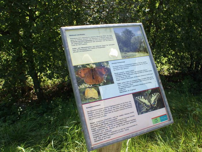 Infotafel am Weg des Schmetterlingspfads