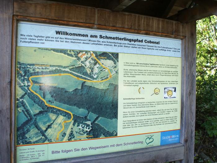 Starttafel auf dem Schmetterlingspfad am Cobenzl