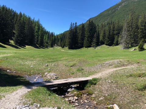 ein beliebter Familientreffpunkt in Sinnesbrunn
