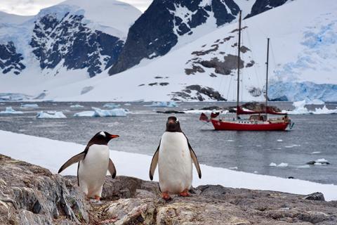 Der ständige gefiederte Wegbegleiter ©Claudia und Jürgen Kirchberger